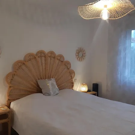 ヴィラ De Standing Avec Gd Jardin Arbore Pres D'argeles Sur Saint-André