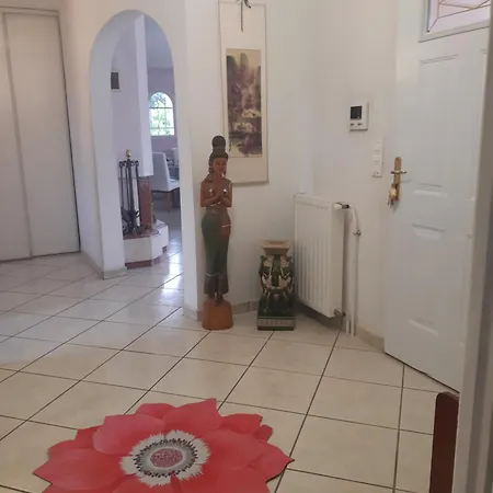 Climatisee Tt Confort Avec Gd Jardin Arbore Pres D'argeles Sur Saint-André