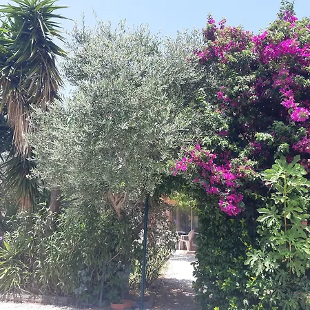 Villa Climatisee Tt Confort Avec Gd Jardin Arbore Pres D'argeles Sur