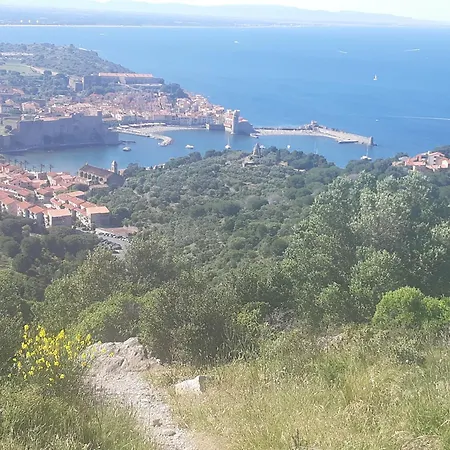 Villa Climatisee Tt Confort Avec Gd Jardin Arbore Pres D'argeles Sur Saint-André